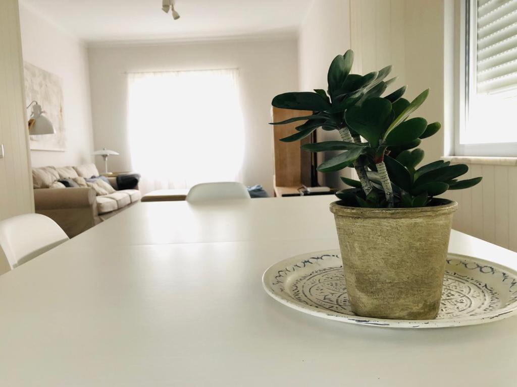 Апартаменты Apartamento Espacoso E Confortavel No Centro Do Монтижу Экстерьер фото